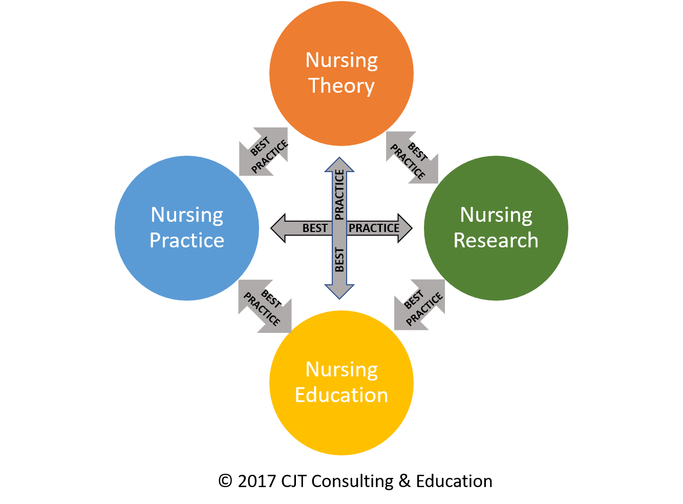 How To Choose A Theory For Nursing Practice - Nursing Education Expert